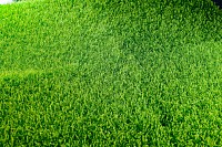 Get a clean cut lawn today