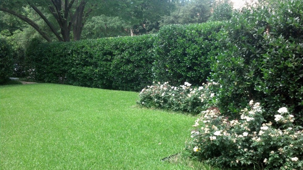 gallery detroit lawn care landscaping 1044 gallery detroit lawn care landscaping 1044