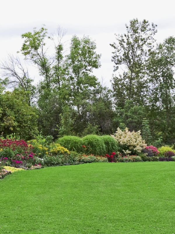 lawn care basic program spring ist10384726 lawn care basic program spring ist10384726