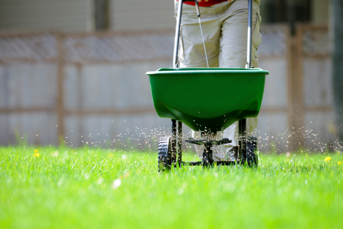 yard fertilizing spreader yard fertilizing spreader